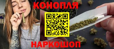 прущие грибы Будённовск