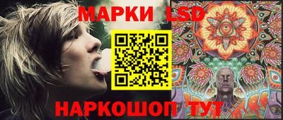прущие грибы Будённовск