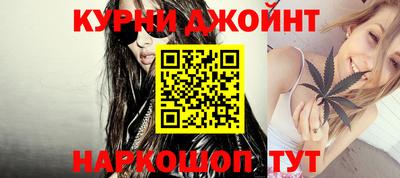 прущие грибы Будённовск