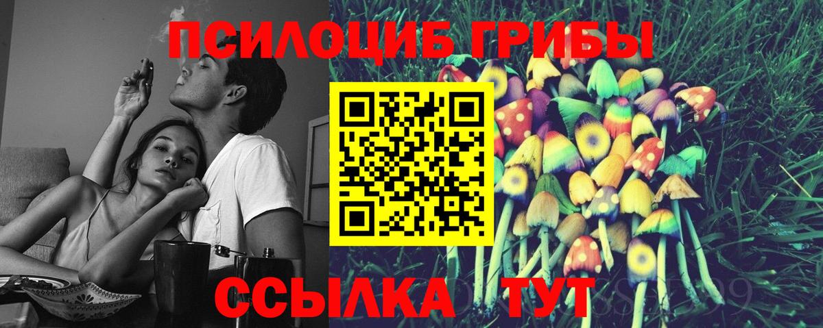 Псилоцибиновые грибы MAGIC MUSHROOMS Луховицы