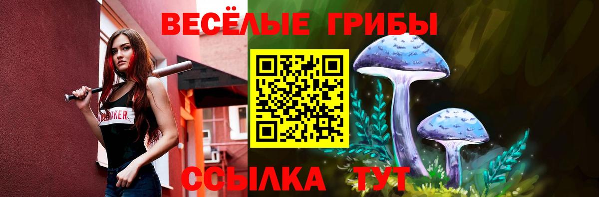 Галлюциногенные грибы мухоморы  Вход с VPN  купить наркотики цена  Луховицы 